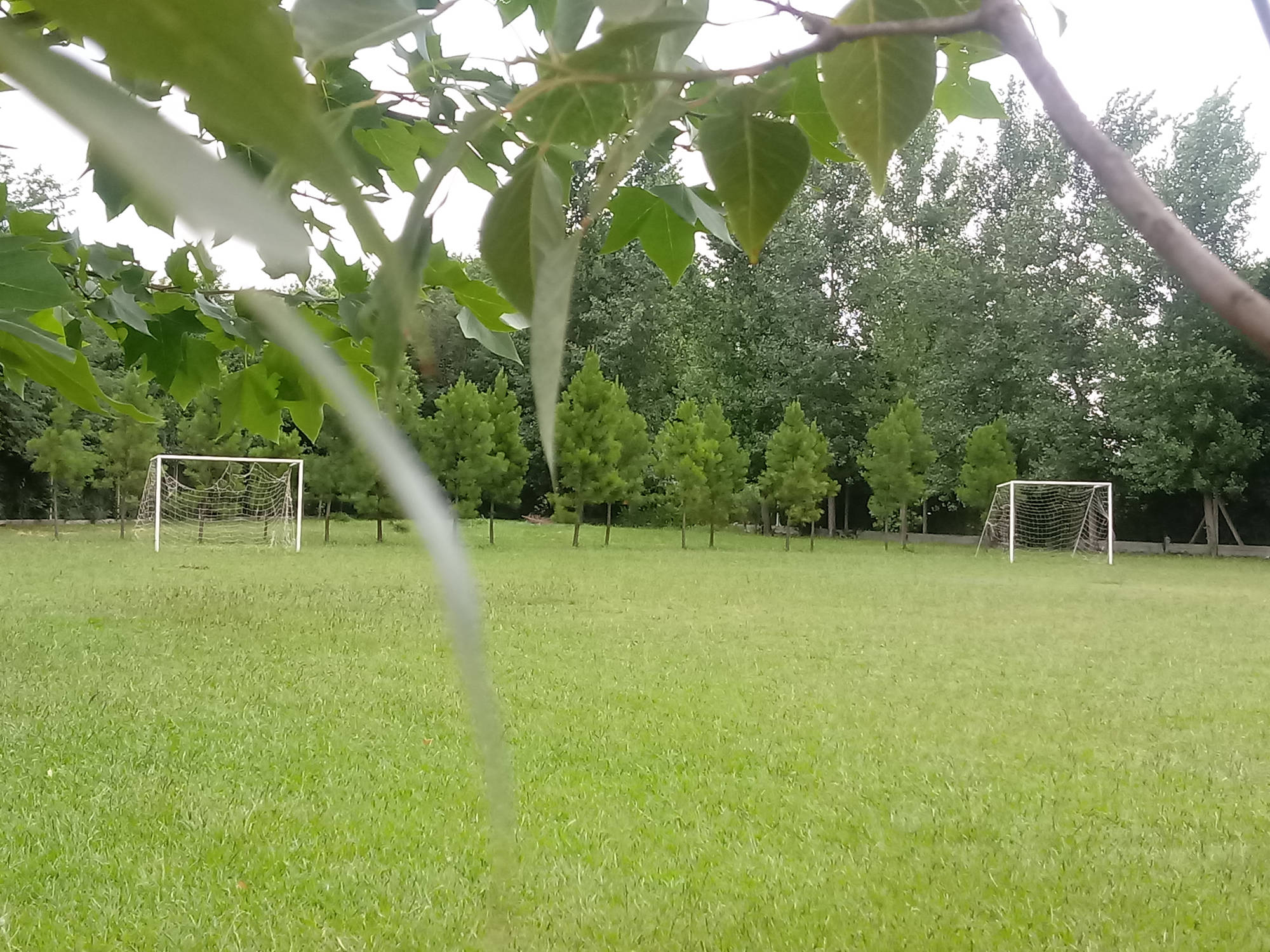 Deportes en Campos Blancos